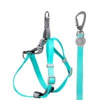 Шлей для собак або кішок з повідцем Taotaopets 171120 Green M (1.5 cm)