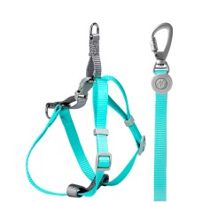 Шлей для собак або кішок з повідцем Taotaopets 171120 Green M (1.5 cm)