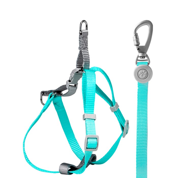 Шлея для собак или кошек с поводком Taotaopets 171120 Green M (1.5 cm)