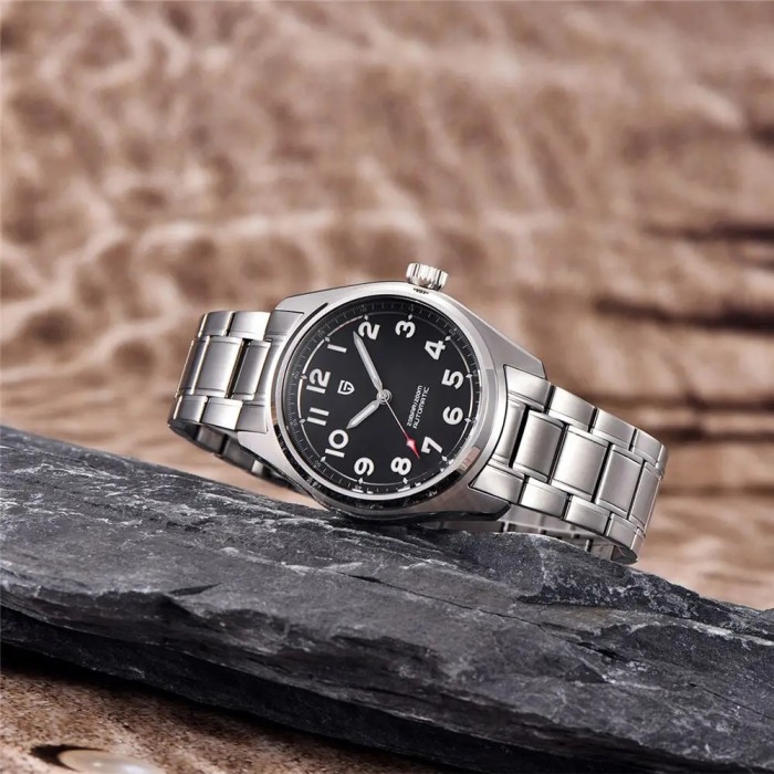 Pagani Design PD-1717 Silver-Black