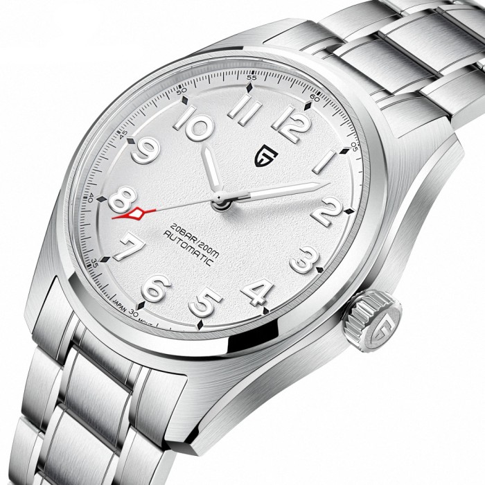 Pagani Design PD-1717 Silver-White