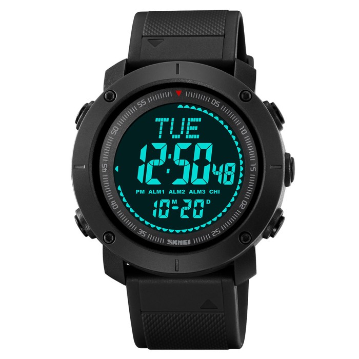 Skmei 2095BK Black Compass