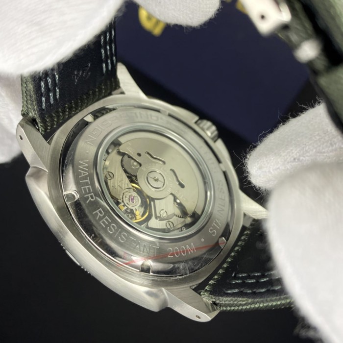 Pagani Design PD-1736 Silver-Green