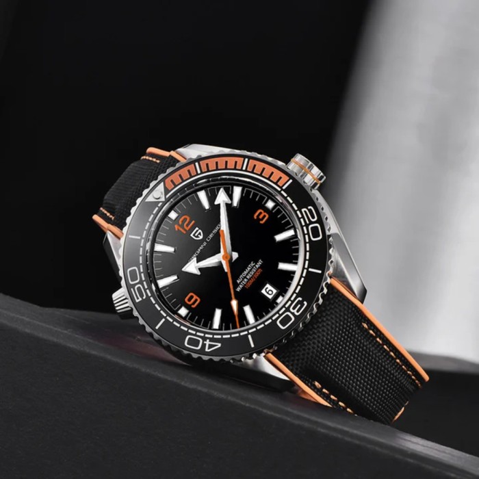 Pagani Design PD-1679 Silver-Black